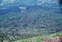 Vesuvio 19